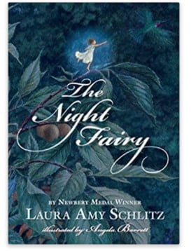 best books for 7 year old girls: The Night Fairy